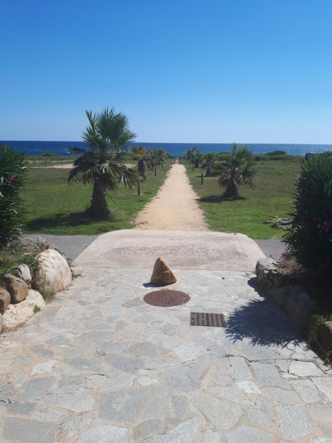 Villa Climatisee A Nuciola Prunete Entre Mer, Montagne Et Piscine Cervione Kültér fotó