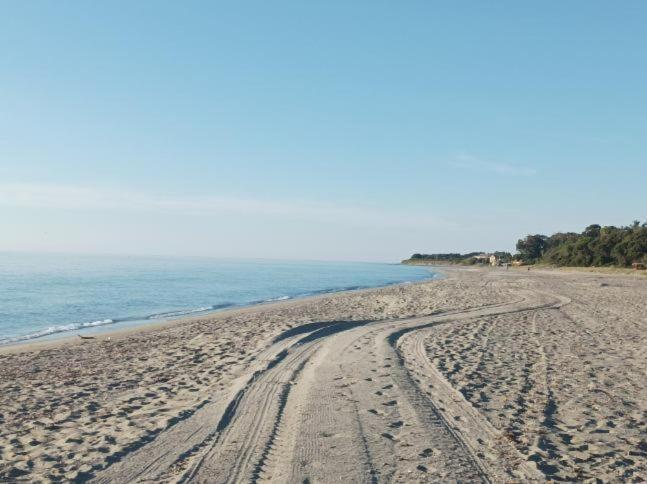 Villa Climatisee A Nuciola Prunete Entre Mer, Montagne Et Piscine Cervione Kültér fotó