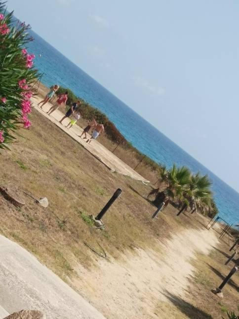 Villa Climatisee A Nuciola Prunete Entre Mer, Montagne Et Piscine Cervione Kültér fotó