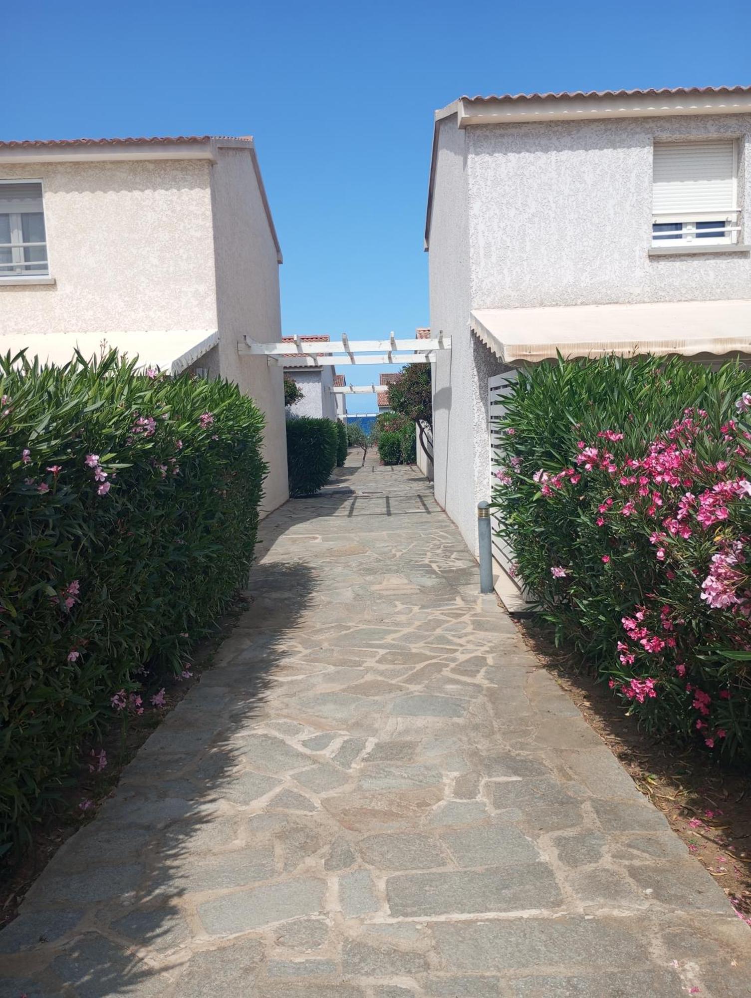 Villa Climatisee A Nuciola Prunete Entre Mer, Montagne Et Piscine Cervione Kültér fotó