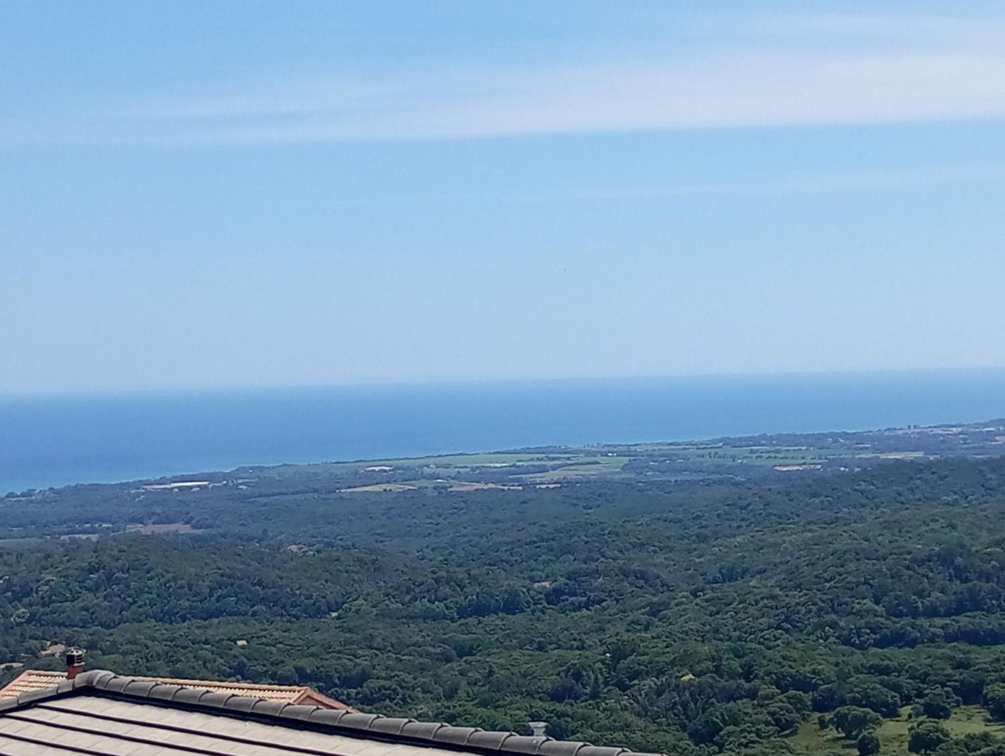 Villa Climatisee A Nuciola Prunete Entre Mer, Montagne Et Piscine Cervione Kültér fotó