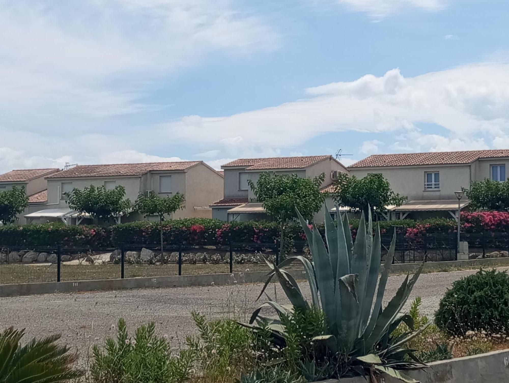 Villa Climatisee A Nuciola Prunete Entre Mer, Montagne Et Piscine Cervione Kültér fotó