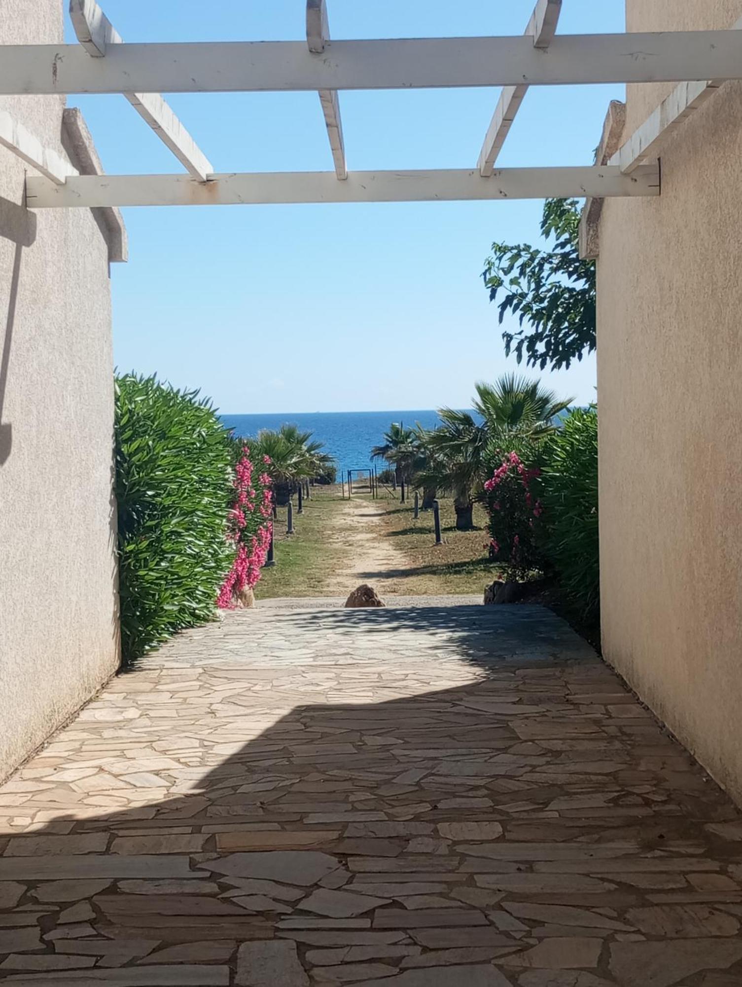 Villa Climatisee A Nuciola Prunete Entre Mer, Montagne Et Piscine Cervione Kültér fotó